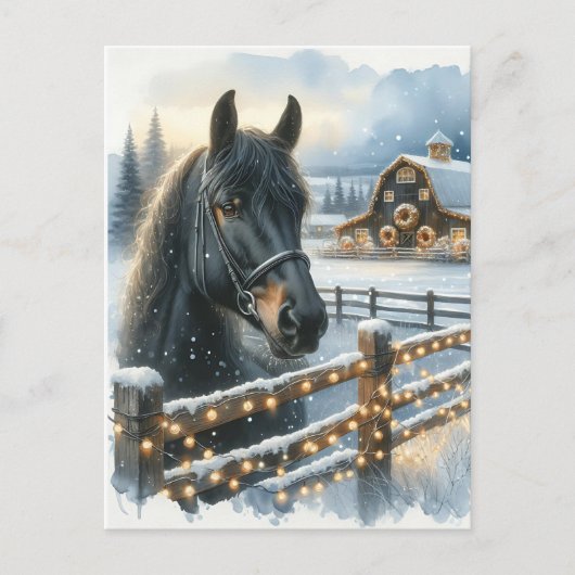 Schönes festliches Schwarzes Pferd auf Bauernhof W Postkarte (Vorderseite)