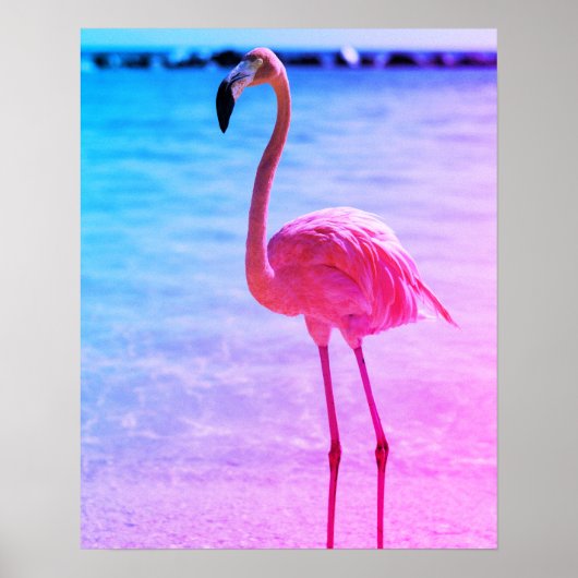 Schönes Flamingo im Wasser am Strand Poster (Vorne)