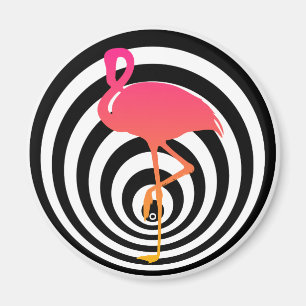 Schönes Flamingo in Kreisen Magnet