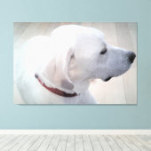 Schönes Foto des White Labrador Mix Dog Profils Leinwanddruck (Insitu (Holzboden))