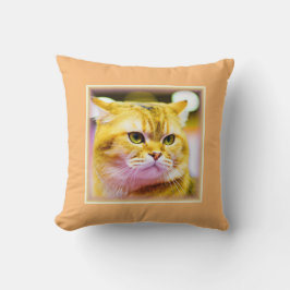 Schönes Foto einer Niedlichen Katze . Jetzt kaufen Kissen