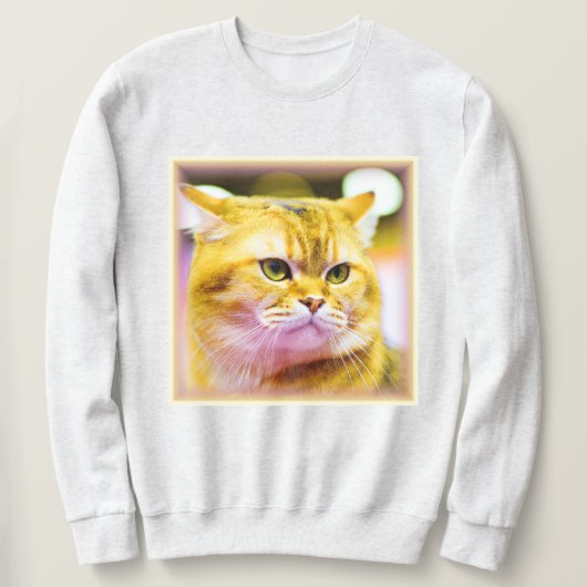 Schönes Foto einer Niedlichen Katze . Jetzt kaufen Sweatshirt (Design vorne)