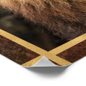 Schönes Foto Lion Face Poster (Ecke)