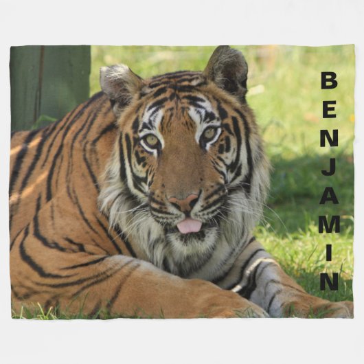 Schönes Foto Tiger Fleecedecke (Vorderseite (Horizontal))