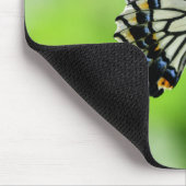 Schönes Frack Butterfly Mousepad (Ecke)