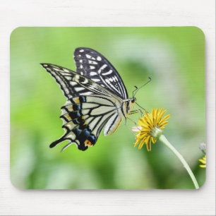 Schönes Frack Butterfly Mousepad