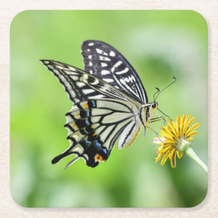 Schönes Frack Butterfly Rechteckiger Pappuntersetzer