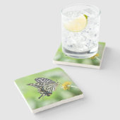 Schönes Frack Butterfly Steinuntersetzer (Seitenansicht)