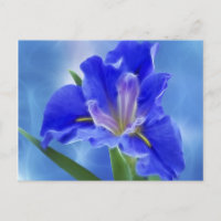 Schönes Fraktal Iris und seine Bedeutung