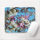 Schönes Frühlingsrosa, Blüte der weißen Kirsche Mousepad (Mit Mouse)