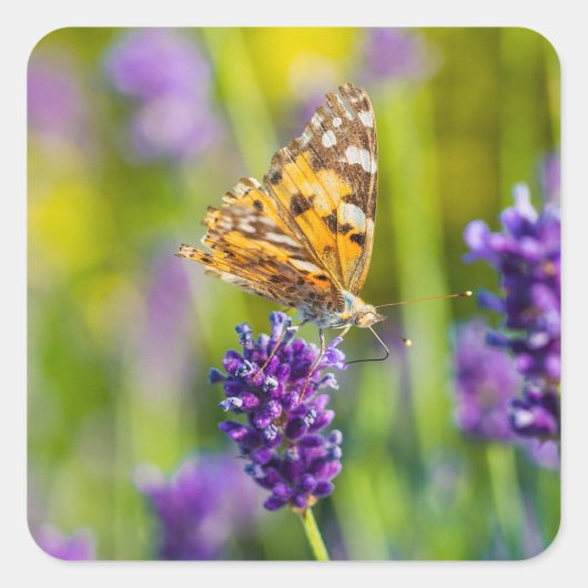 Schönes Fütternd Butterfly-Sticker-Set Quadratischer Aufkleber (Vorderseite)