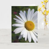 Schönes Gänseblümchen Karte (Gelbe Blume)