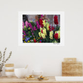 Schönes Gartenposter drucken Poster (Küche)