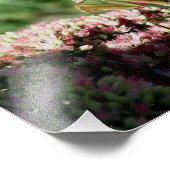 Schönes Gebet Mantis Insekt 10x8 Natur Fotodruck (Ecke)