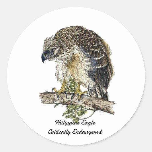 Schönes gefährdetes philippinisches Adlerwerk Runder Aufkleber (Vorderseite)