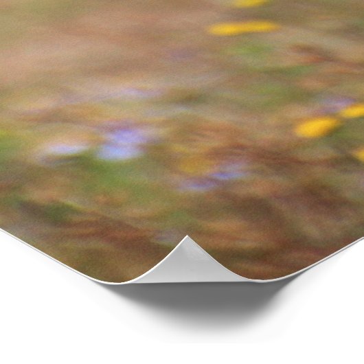 Schönes Geparden-Portrait Poster (Ecke)