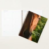 Schönes gepflegtes Pferd Planer (Anzeige)