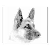 Schönes German Shepherd Dog Portrait Gummistempel (Prägung)