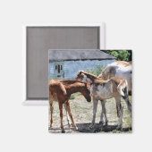 Schönes Geschenk für Pferde-Liebhaber Magnet (Vorderseite/Rückseite)