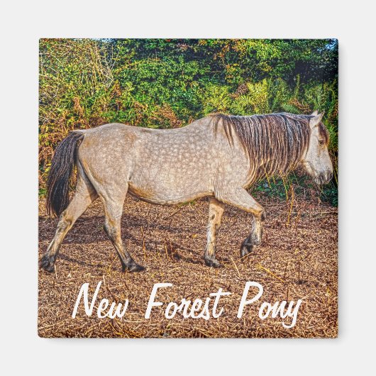 Schönes Geschenk für Pferde-Liebhaber Magnet (Vorne)