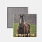 Schönes Geschenk für Pferde-Liebhaber Magnet (Vorderseite/Rückseite)