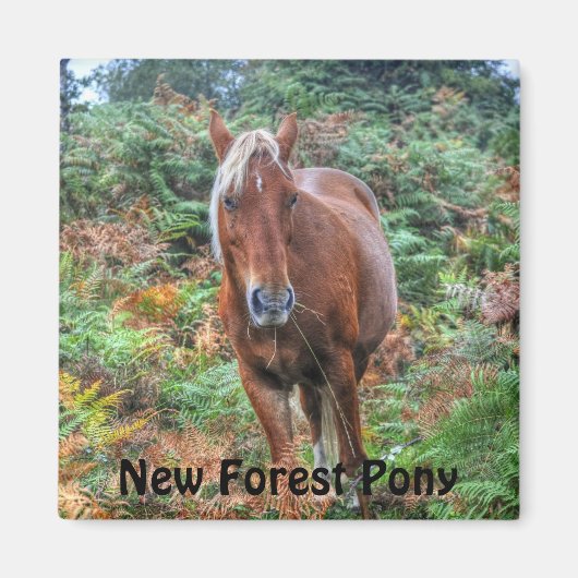 Schönes Geschenk für Pferde-Liebhaber Magnet (Vorne)