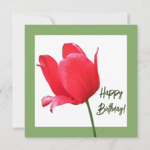 Schönes Glück Geburtstag hübsche Tulpe Blüte Karte