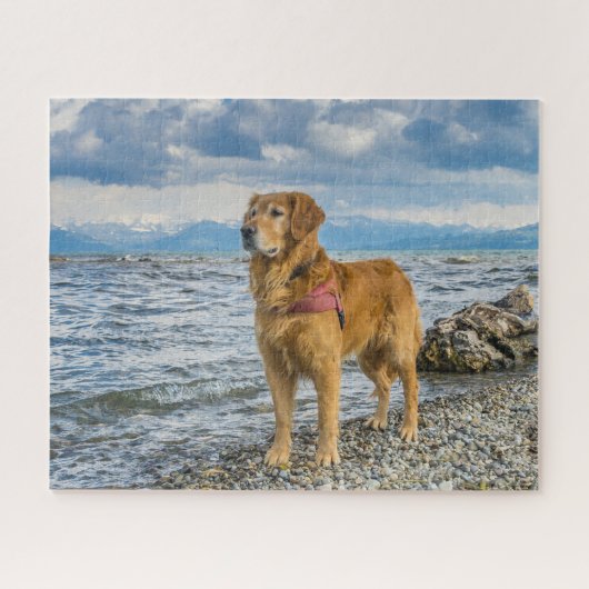 Schönes Golden Retriever Dog Beach Foto Puzzle (Horizontal)