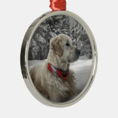Schönes golden retriever im Schnee Silbernes Ornament (Rechts)