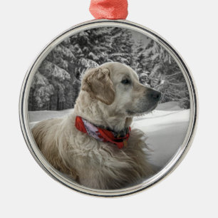 Schönes golden retriever im Schnee Silbernes Ornament