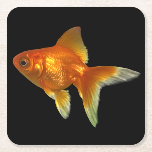 Schönes Goldfish Untersetzer Set (Vorderseite)