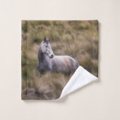 Schönes graues, farbiges Pferd Badhandtuch Set (Waschlappen)