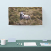 Schönes graues, farbiges Pferd Banner (Messe)