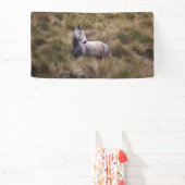 Schönes graues, farbiges Pferd Banner (InSitu)