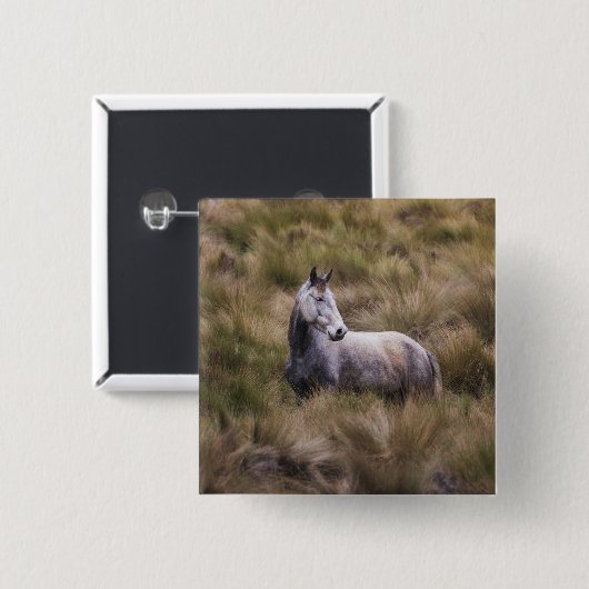 Schönes graues, farbiges Pferd Button (Vorne & Hinten)