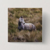 Schönes graues, farbiges Pferd Button (Vorderseite)