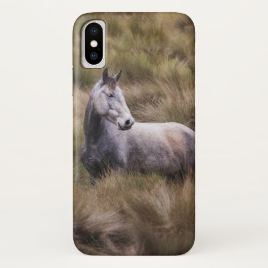 Schönes graues, farbiges Pferd Case-Mate iPhone Hülle (Rückseite)