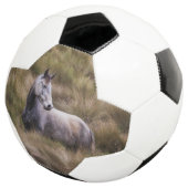 Schönes graues, farbiges Pferd Fußball (Dreiviertel)