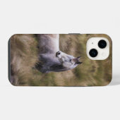 Schönes graues, farbiges Pferd iPhone Hülle (Rückseite (Horizontal))
