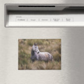 Schönes graues, farbiges Pferd Magnet (In Situ (Geschirrspüler))