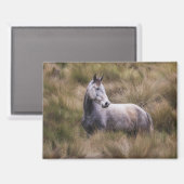 Schönes graues, farbiges Pferd Magnet (Vorderseite/Rückseite)