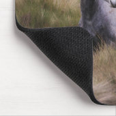 Schönes graues, farbiges Pferd Mousepad (Ecke)
