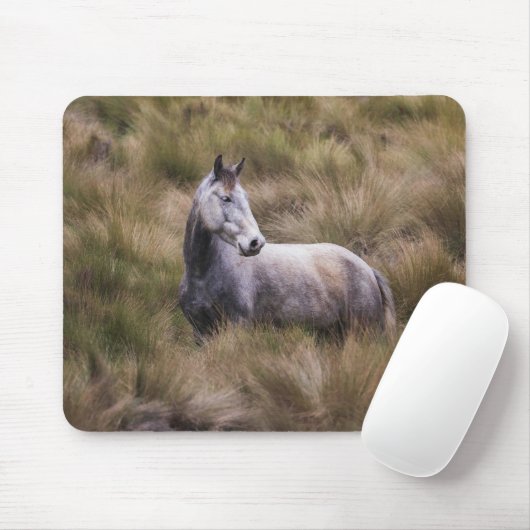 Schönes graues, farbiges Pferd Mousepad (Mit Mouse)