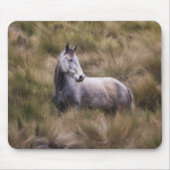 Schönes graues, farbiges Pferd Mousepad (Vorne)