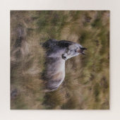 Schönes graues, farbiges Pferd Puzzle (Horizontal)