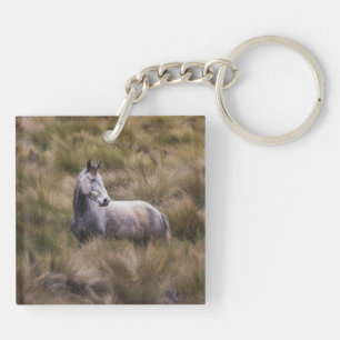 Schönes graues, farbiges Pferd Schlüsselanhänger