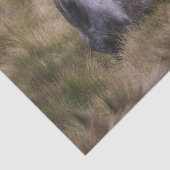 Schönes graues, farbiges Pferd Seidenpapier (Ausschnitt)