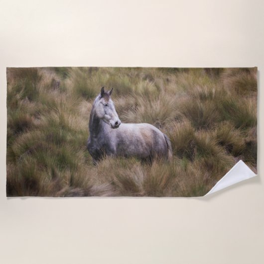 Schönes graues, farbiges Pferd Strandtuch (Vorderseite)