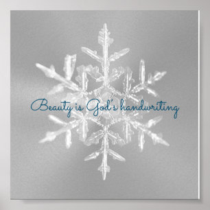 Schönes graues inspirierendes Snowflake Poster