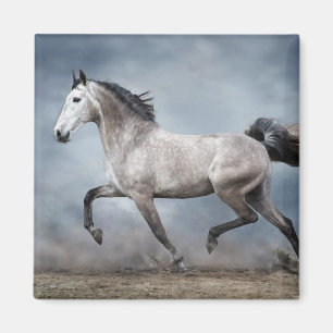 Schönes graues Pferd dramatischer Himmel sandige L Magnet
